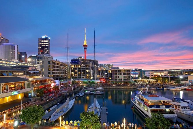 Auckland Highlight Fullday City Tour - Mt Eden: Auckland from a volcanic summit