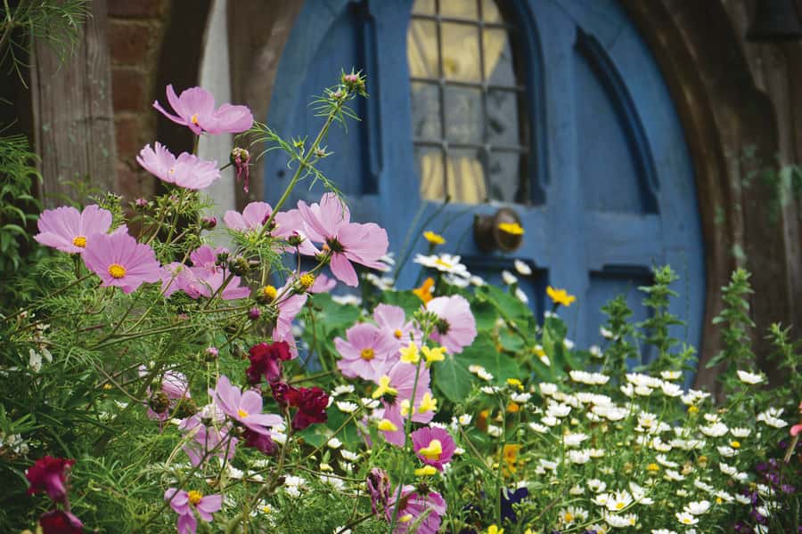 Auckland: Hobbiton and Rotorua Day Tour including Te Puia - Hobbiton’s 44 hobbit holes and garden details