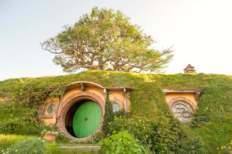Auckland: Hobbiton Movie Set Tour with Lunch - The Party Marquee buffet lunch