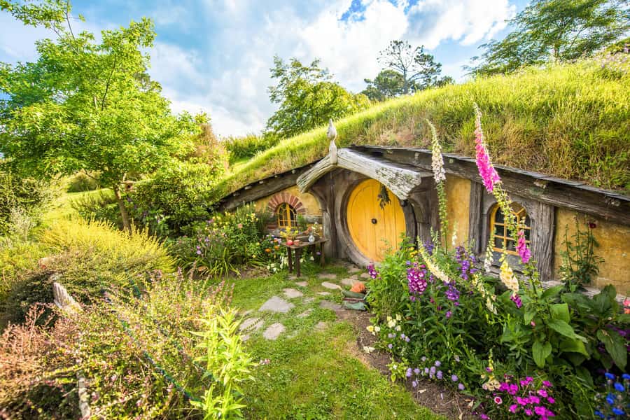 Auckland: Hobbiton Movie Set Tour with Lunch - Is $245 a fair price?