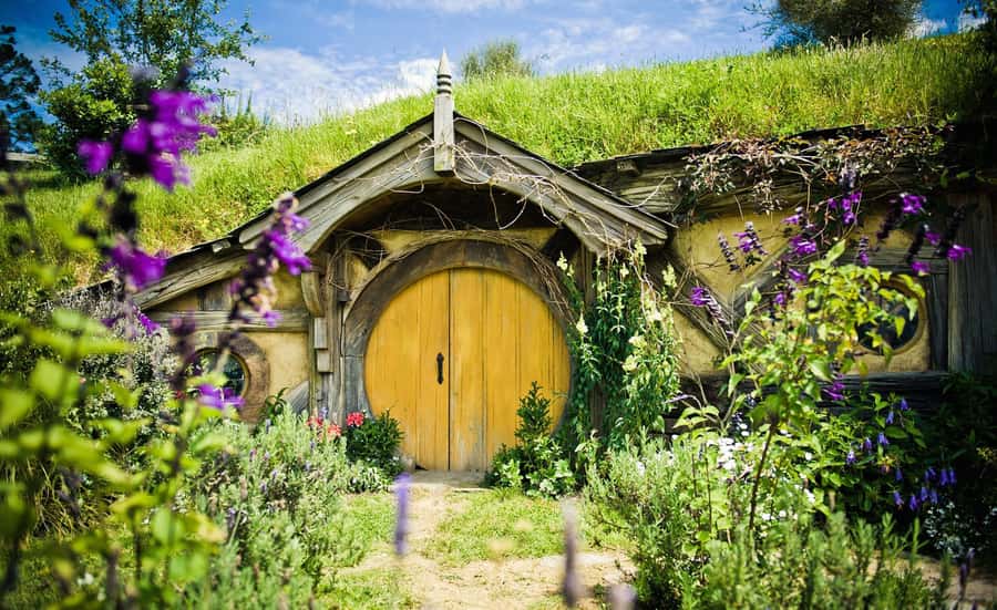 Auckland: Hobbiton Movie Set Tour with Lunch - Who will enjoy this tour most?