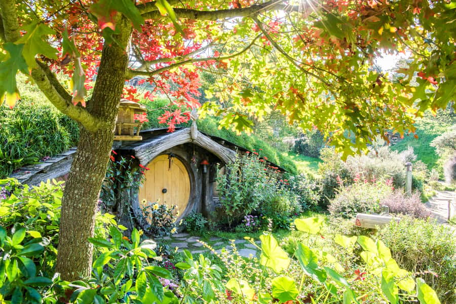 Auckland: Hobbiton Movie Set Tour with Lunch - Arriving at Shire’s Rest in Matamata