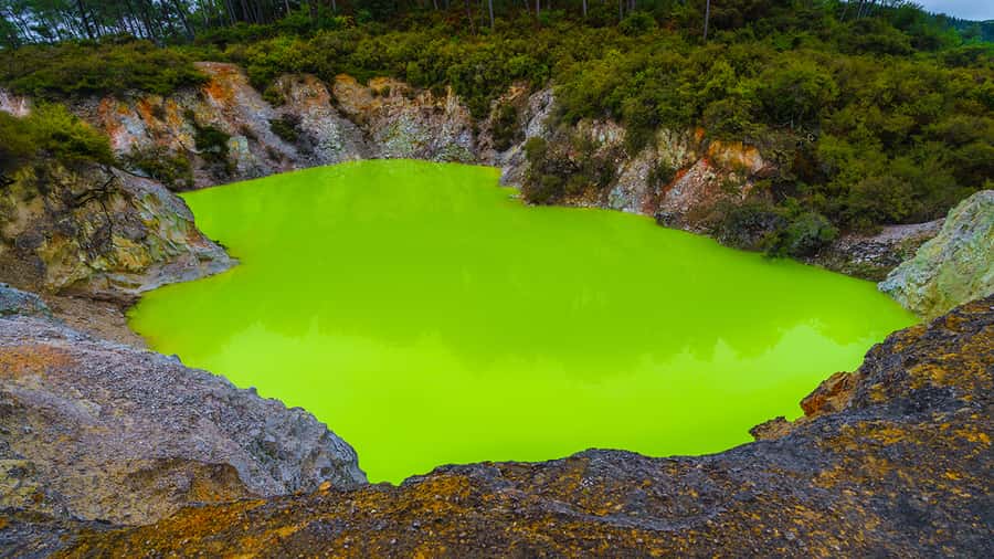Auckland: Hobbiton, Rotorua and Wai-O-Tapu Day Tour - Tīrau and Fitzgerald Glade add local character