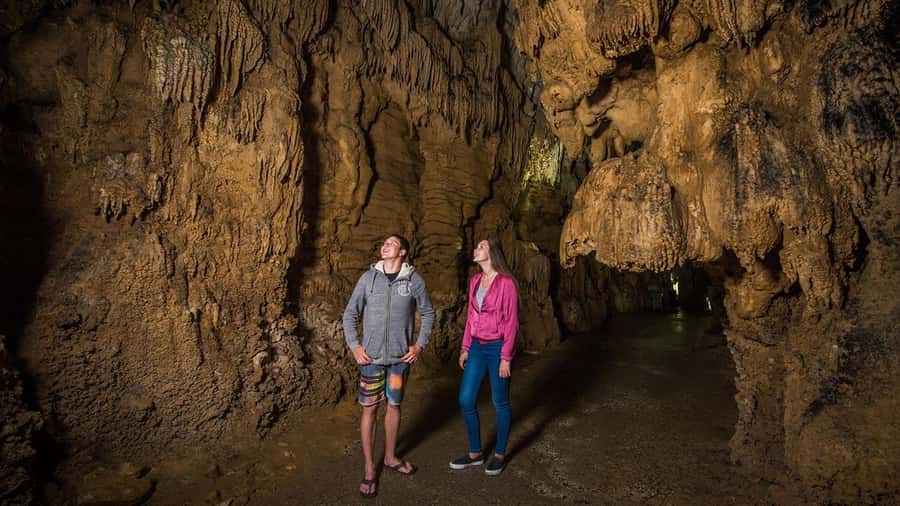 Auckland: Hobbiton, Waitomo Caves, and Rotorua 1-Way Tour - Who should book this experience?