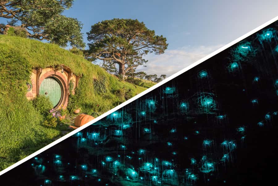 Auckland: Hobbiton, Waitomo Caves, and Rotorua 1-Way Tour - Waitomo Glowworm Caves: an underground boat ride