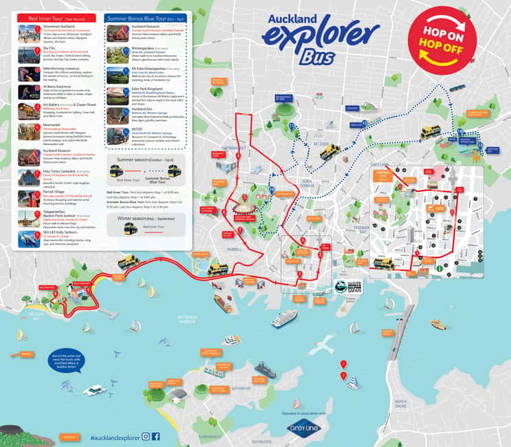 Auckland: Hop-On Hop-Off Explorer Bus Ticket - Newmarket, Auckland Museum, and the Domain