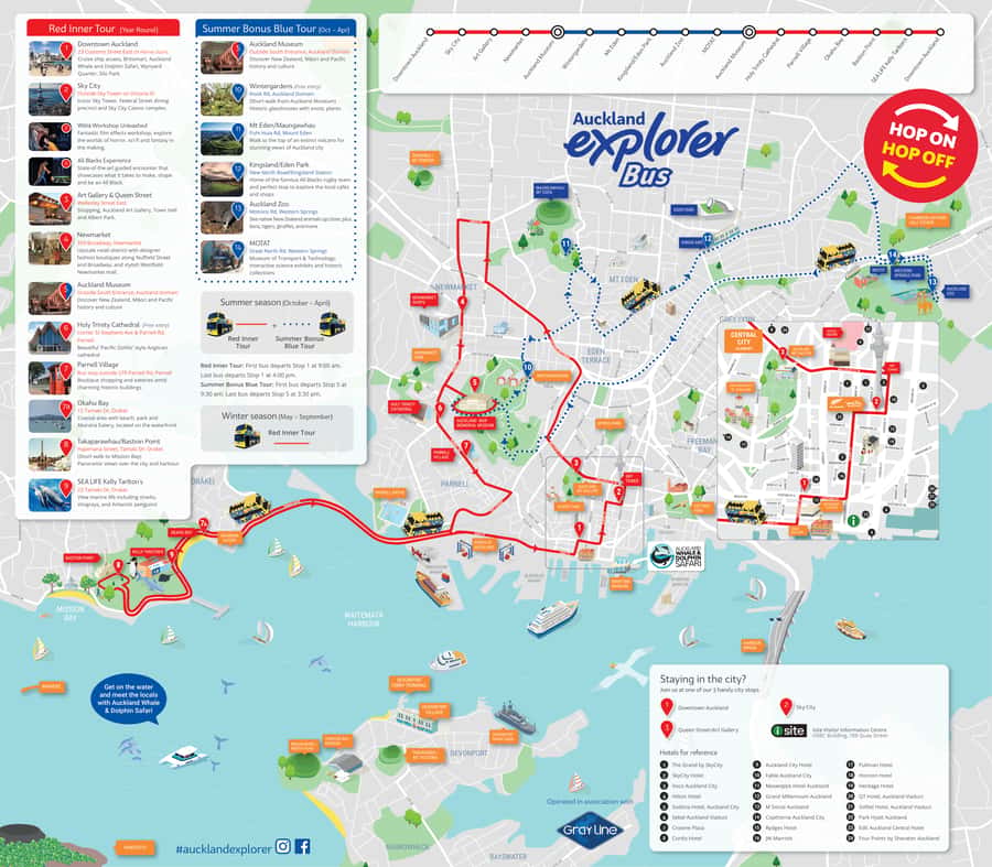 Auckland: Hop-On Hop-Off Explorer Bus Ticket - SEA LIFE Kelly Tarlton’s Aquarium