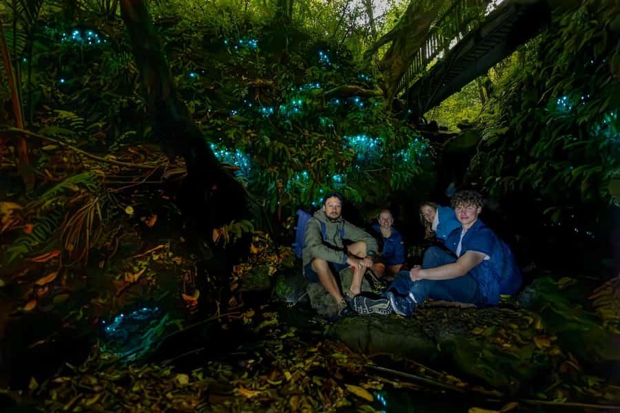 Auckland: Inner-City Glowworm Experience in Ancient Volcano - Meeting the guide at Auckland Domain