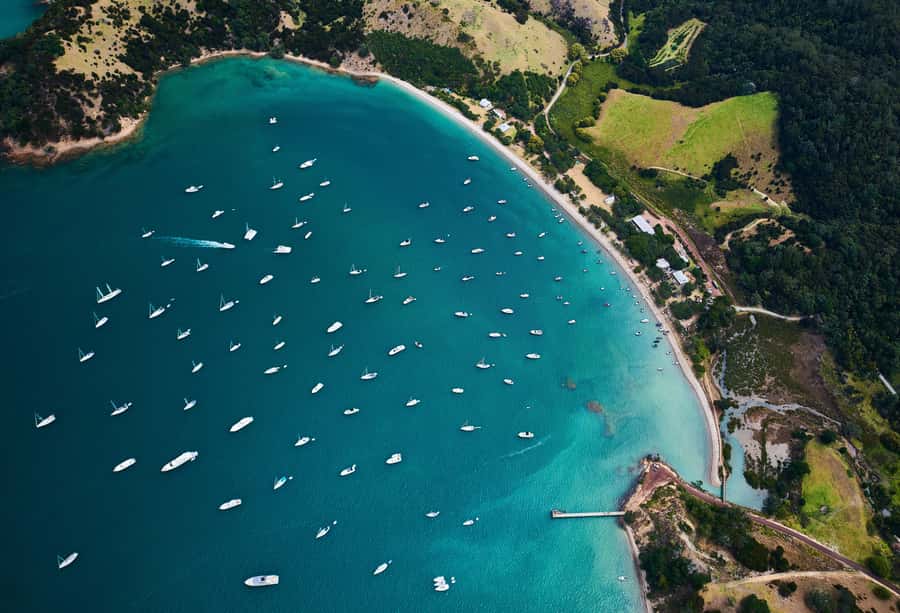 Auckland: Man O' War Vineyard Ferry (Waiheke Island) - Key points at a glance