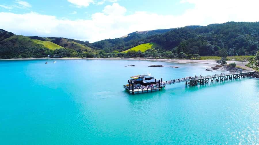 Auckland: Man O' War Vineyard Ferry (Waiheke Island) - The 90-minute route through the eastern Hauraki Gulf