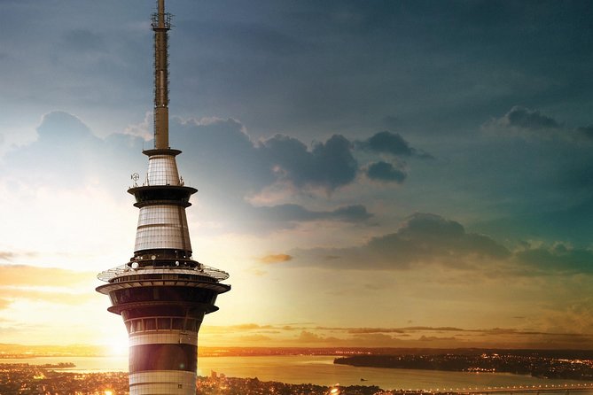 Auckland Māori Culture Experience - Private Tour - What the private format changes