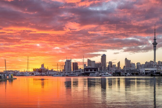 Auckland Māori Culture Experience - Private Tour - Food, timing, and comfort on the road
