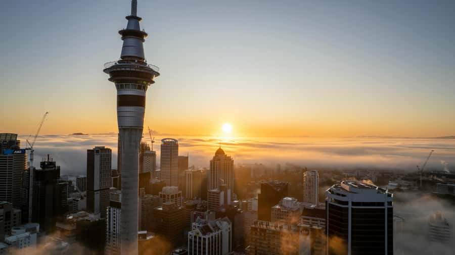 Auckland: Mt. Eden, Piha Beach & Karekare Private Tour - Five things to know before you book