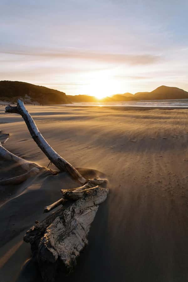 Auckland: Mt. Eden, Piha Beach & Karekare Private Tour - Why this private west Auckland tour works