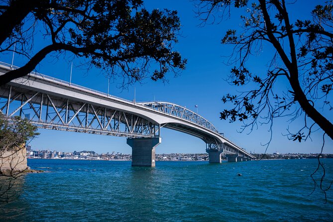 Auckland Museum and Highlight Sightseeing Tour - Why this four-hour Auckland tour works