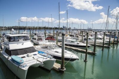 Auckland Museum and Highlight Sightseeing Tour