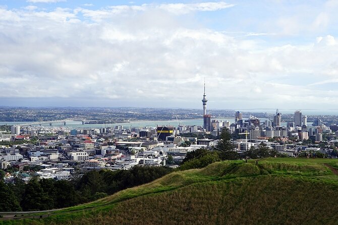 Auckland Museum and Highlight Sightseeing Tour - The Auckland Domain Wintergardens