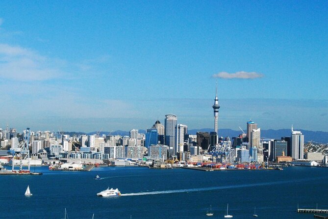 Auckland Museum and Highlight Sightseeing Tour - Walking, timing, and who should book