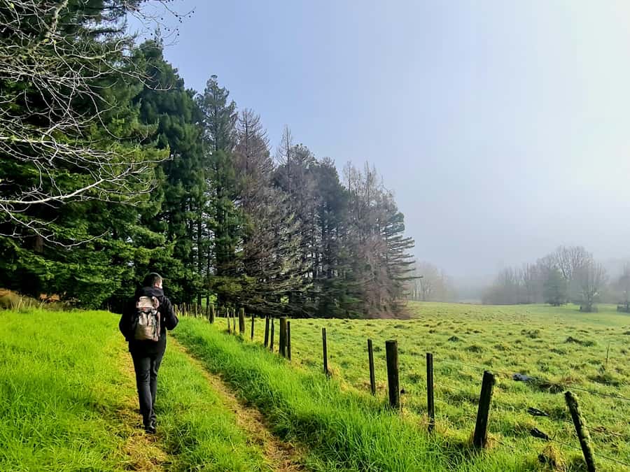 Auckland Nature Tour - FAQ