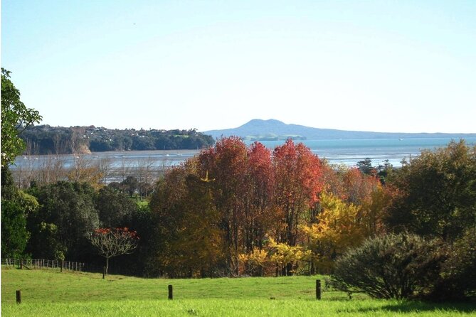 Auckland Nature Tour - Why this Auckland nature tour works