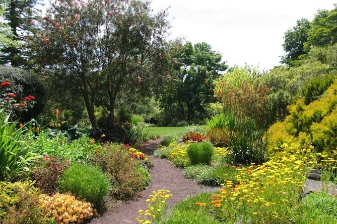 Auckland Nature Tour - The small-group format and pickup service