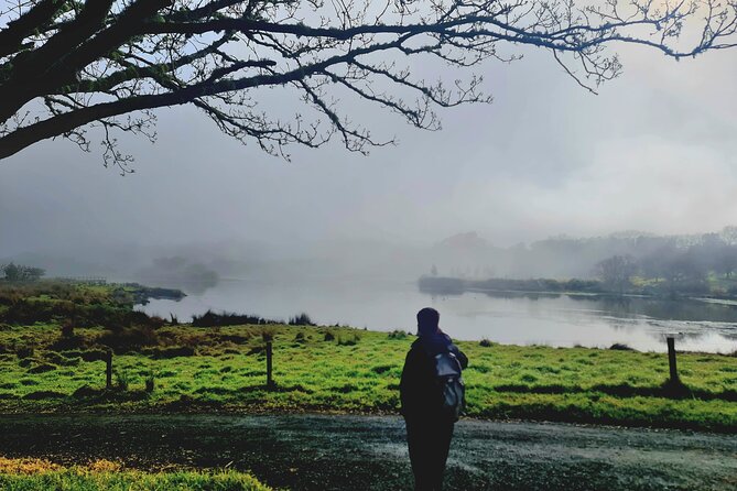 Auckland Nature Tour - Is $191 good value?