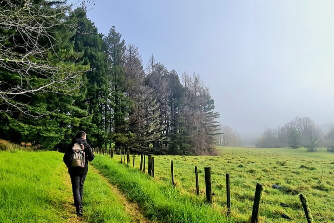 Auckland Nature Tour - Weather, walking, and who should book