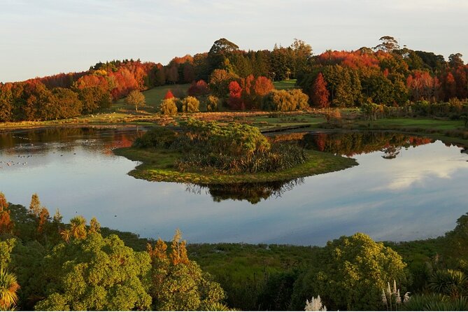 Auckland Nature Tour - Ayrlies Garden and Wetlands: the main event