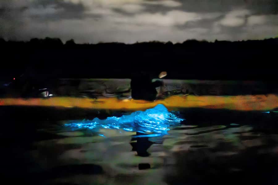 Auckland: Night Kayak Tour in Glowing Bioluminescent Waters - Who should book this glowing-water tour?