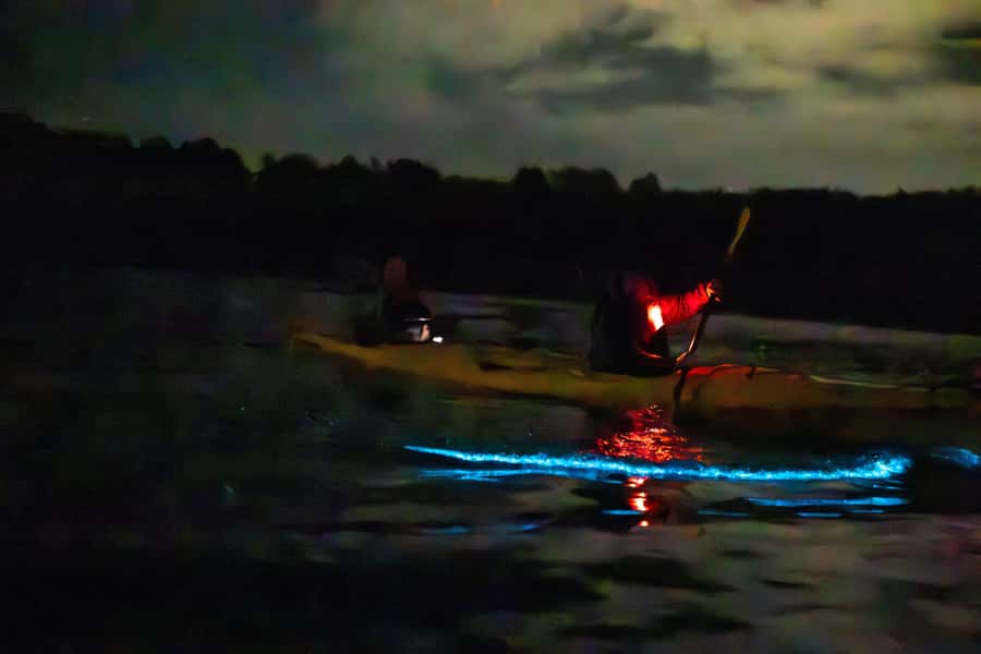 Auckland: Night Kayak Tour in Glowing Bioluminescent Waters - Sunset launch, then the first flashes of light