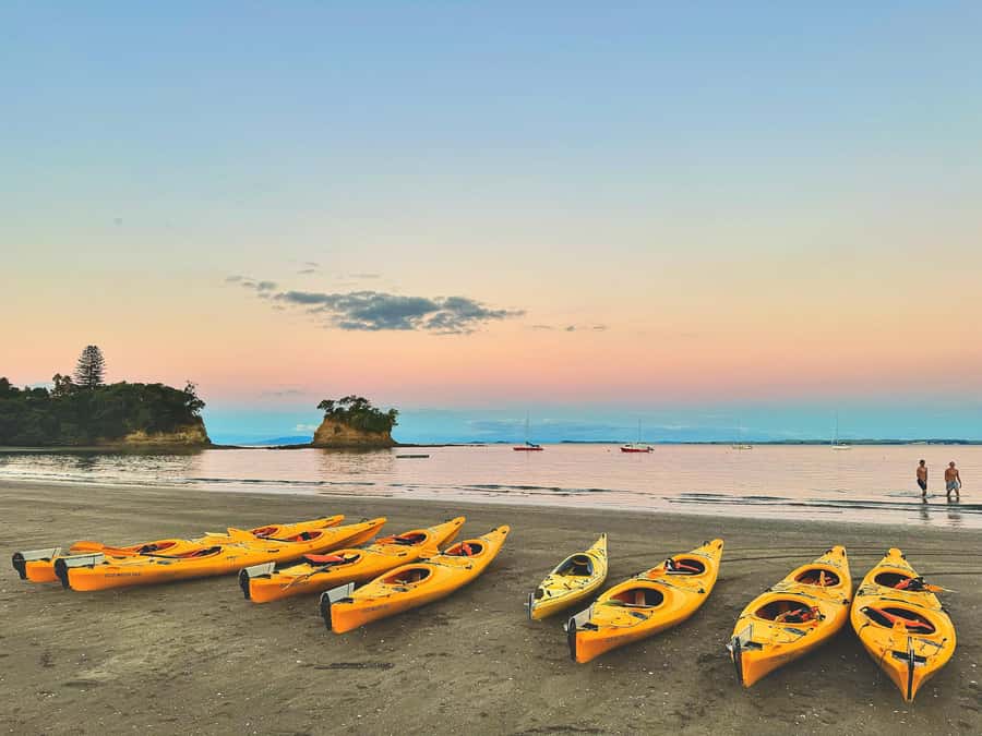 Auckland: Night Kayak Tour in Glowing Bioluminescent Waters - Seventy-five minutes on the water, with a shorter later tour