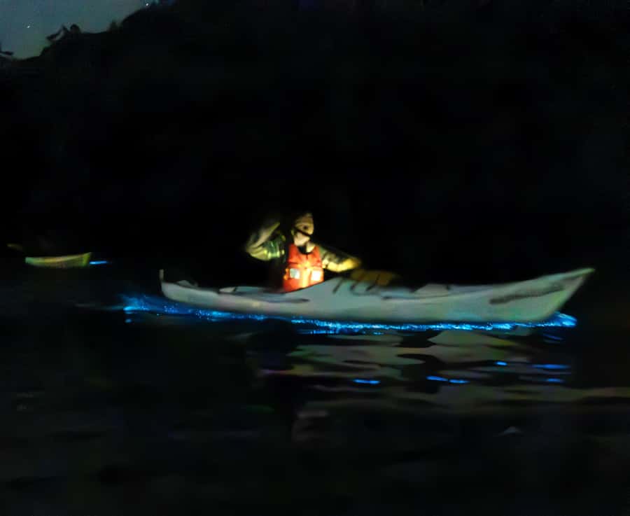 Auckland: Night Kayak Tour in Glowing Bioluminescent Waters - Practical preparation for a wet, dark outing