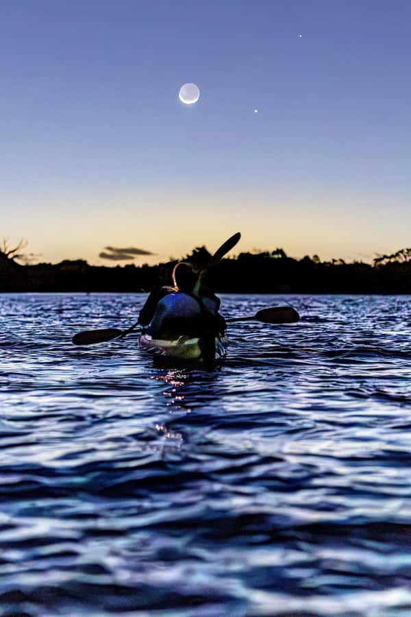 Auckland: Night Kayak Tour in Glowing Bioluminescent Waters - Choosing between Okura Boat Ramp and Waiake Beach