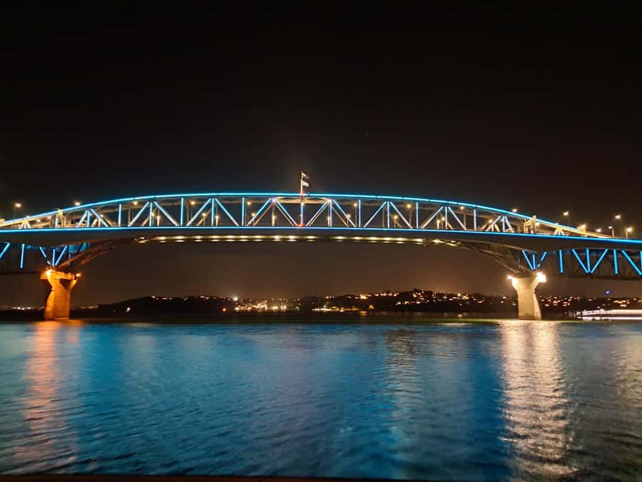 Auckland: Nightlights Harbour Cruise with Canapés and Drink - Canapés, one drink, and relaxing music