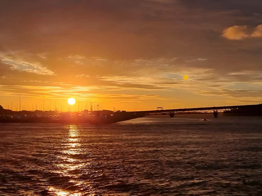 Auckland: Nightlights Harbour Cruise with Canapés and Drink - Practical advice for a smoother evening