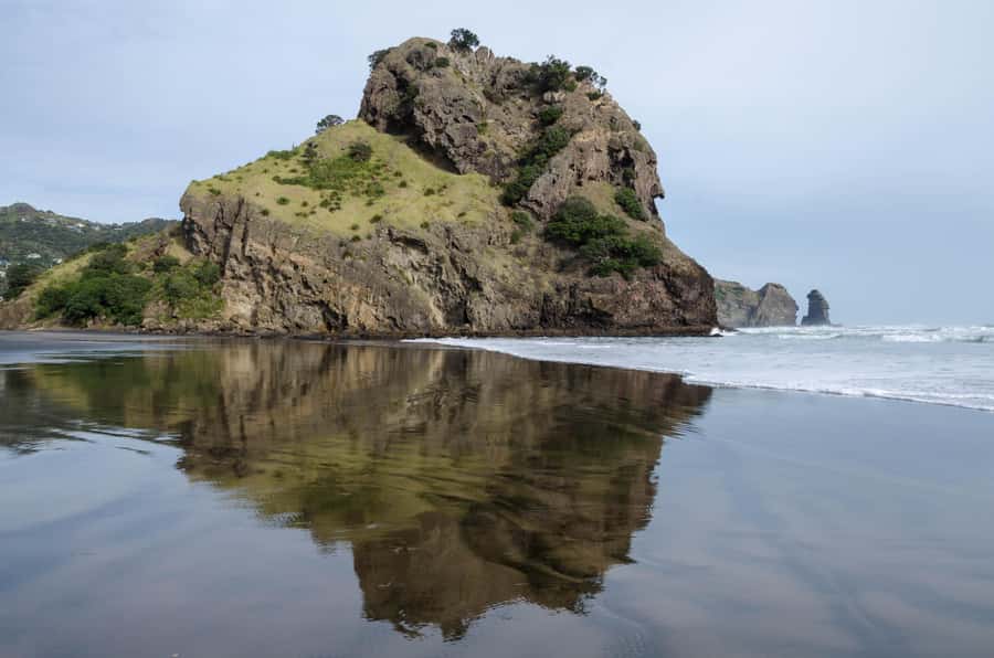 Auckland Private Tour: West Coast Wilderness & Piha Beach - Key points before you book