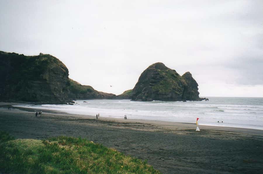 Auckland Private Tour: West Coast Wilderness & Piha Beach - Why Auckland’s west coast makes a good day out