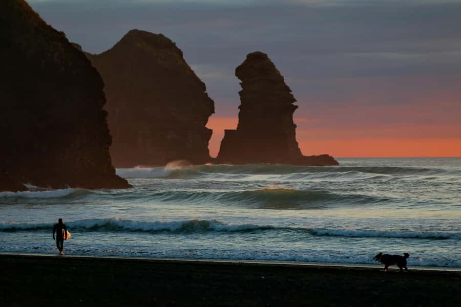 Auckland Private Tour: West Coast Wilderness & Piha Beach - Arataki Visitor Centre gives the day a useful start
