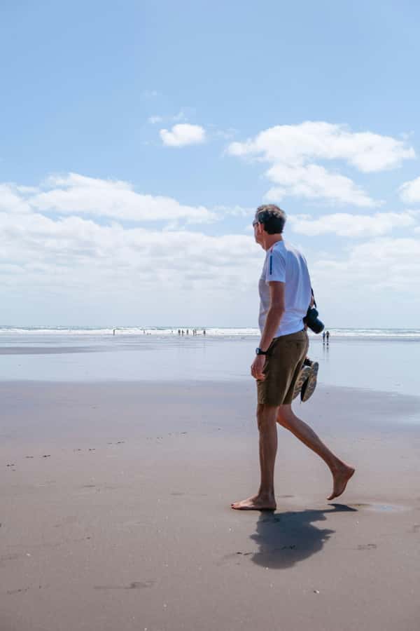 Auckland Private Tour: West Coast Wilderness & Piha Beach - What the $179 price really buys you