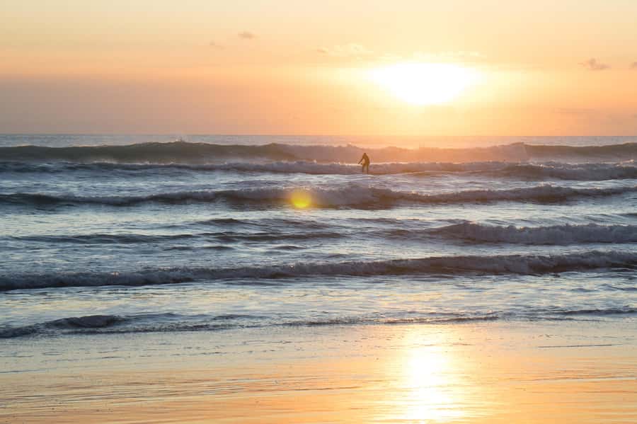 Auckland Private Tour: West Coast Wilderness & Piha Beach - Starting in a clean private vehicle