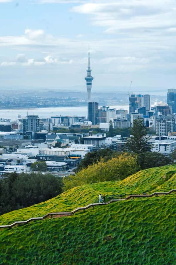 Auckland: Private Walking Tour with a Local - Starting at Queen Street or Auckland Domain