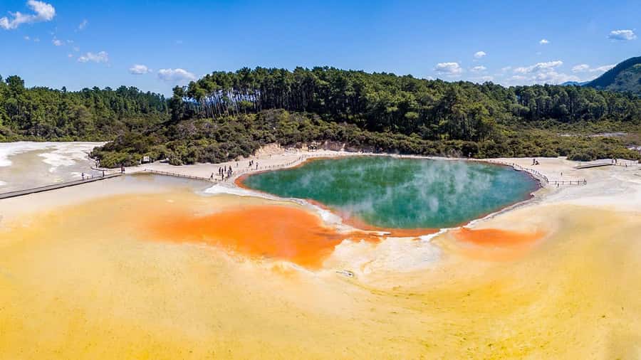Auckland: Rotorua Highlights inc Wai O Tapu & Te Puia Tour - Who should book this experience