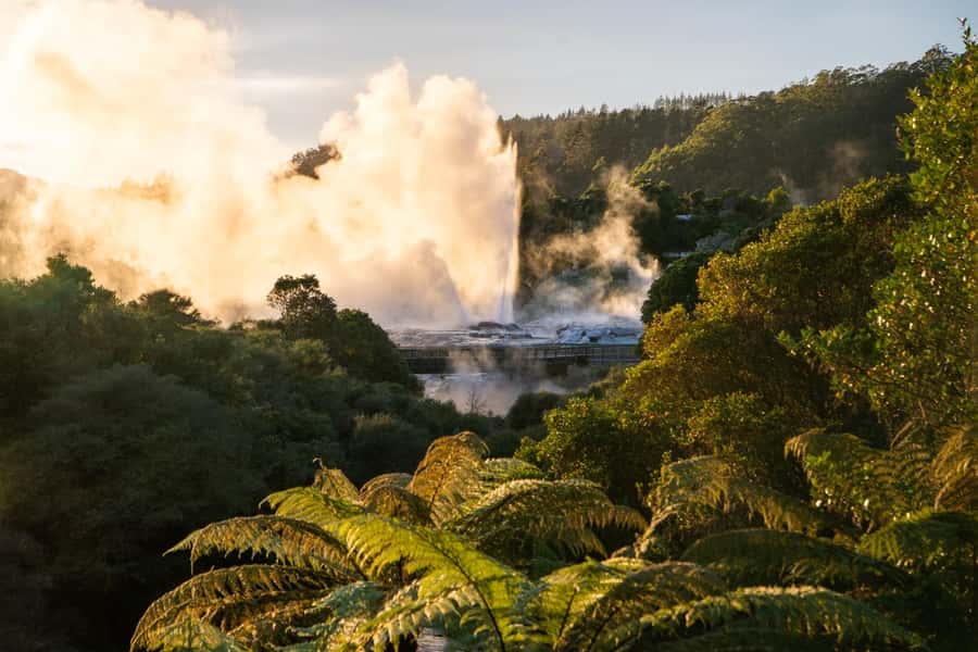 Auckland: Rotorua Highlights inc Wai O Tapu & Te Puia Tour - The road south through Waikato and Tīrau