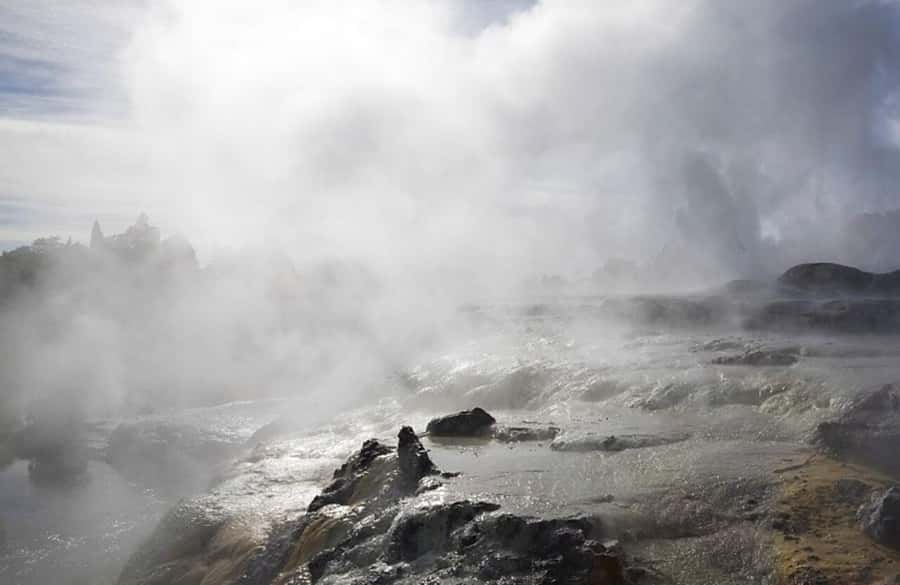 Auckland: Rotorua Living Maori Village Tour w/ Haka & Lunch - Silica Formations, Boiling Pools, and Geysers