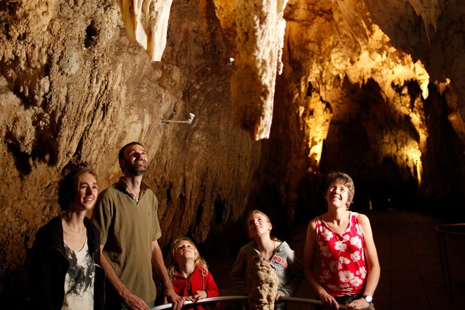 Auckland: Rotorua Māori Village, Waitomo Caves & Lunch - Lunch with geothermal steam in the air