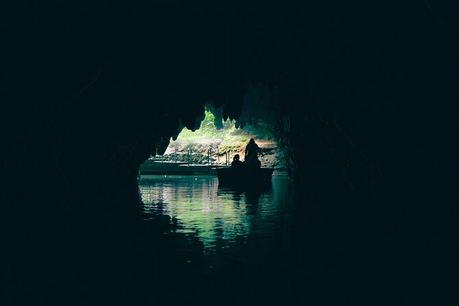 Auckland: Rotorua Māori Village, Waitomo Caves & Lunch - The road to Waitomo and the glow worm caves