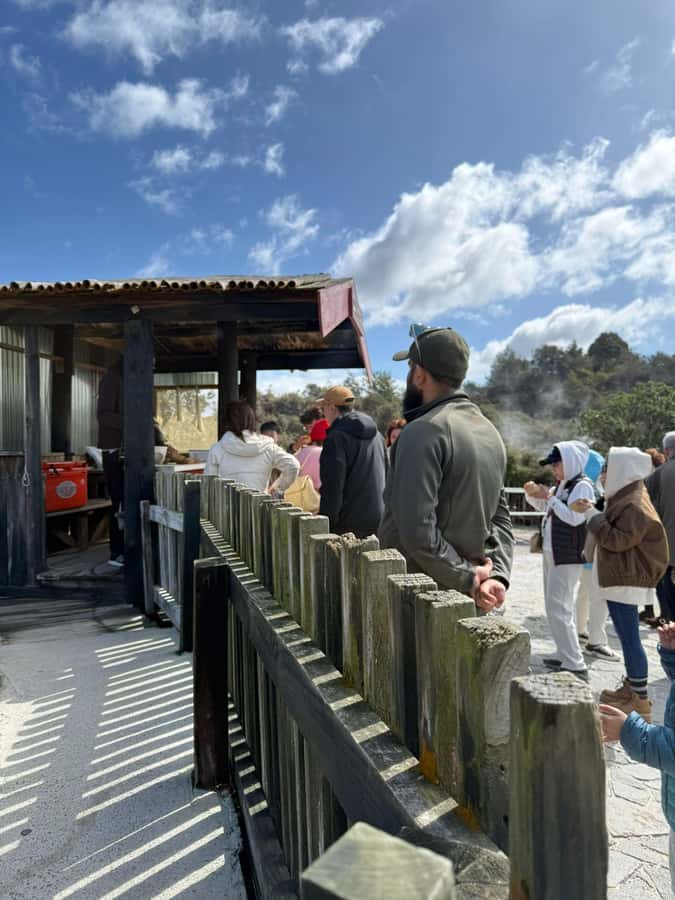 Auckland: Rotorua Māori Village & Waitomo Caves with Lunch - The one-hour Waitomo Glowworm Caves visit