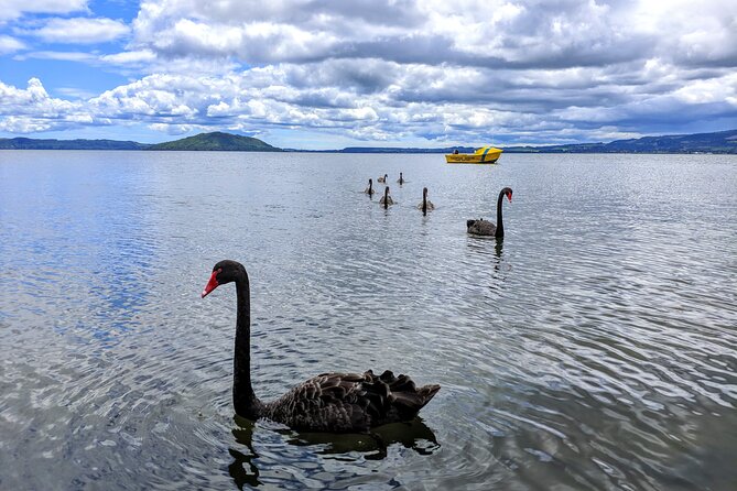Auckland: Rotorua, Taupo, Waiotapu & Huka Falls Private Trip - Two hours around Taupo’s lake and town