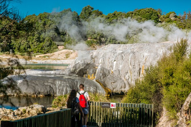 Auckland: Rotorua Te Puia with Haka & Polynesian Spa Small Group - Te Puia: geothermal ground and Māori culture