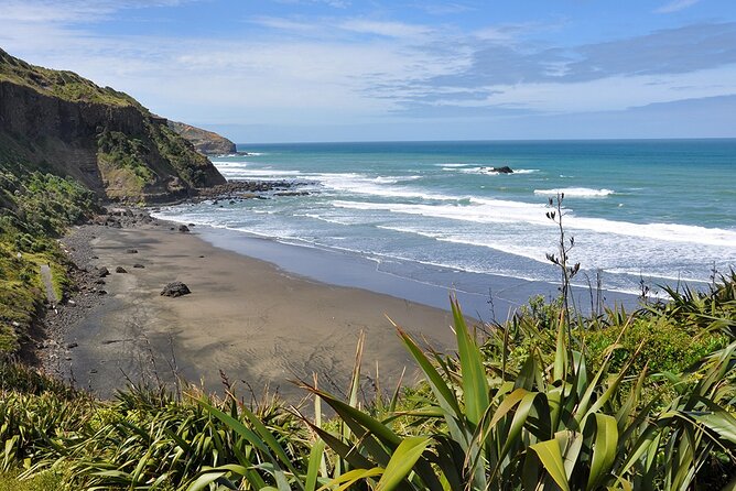 Auckland's Wild West Coast & Black Sand Beaches Tour inc Lunch - Key points to know before you book